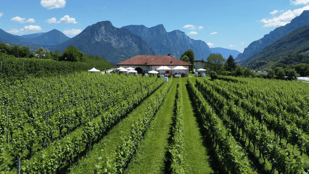 Cantina Cenci